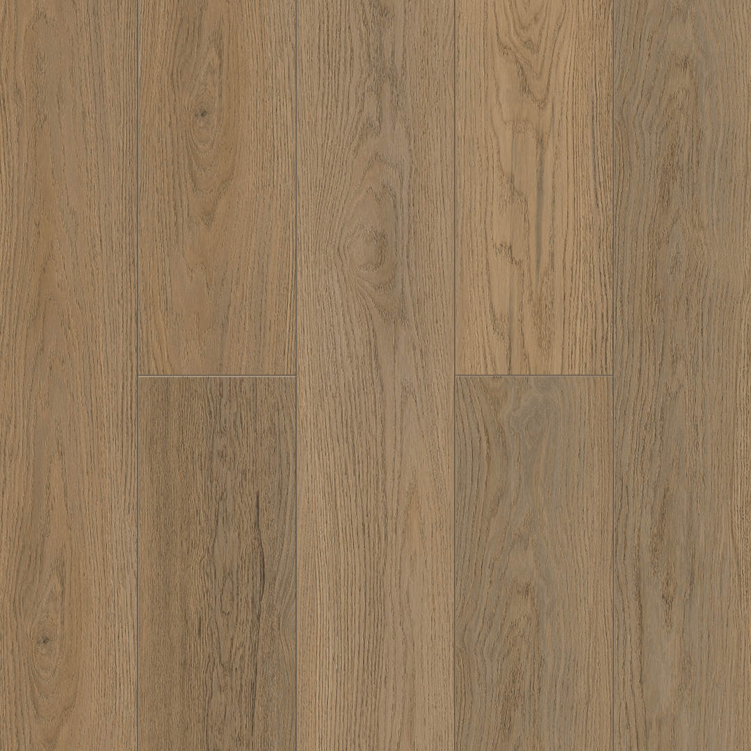 Rena 5002-01