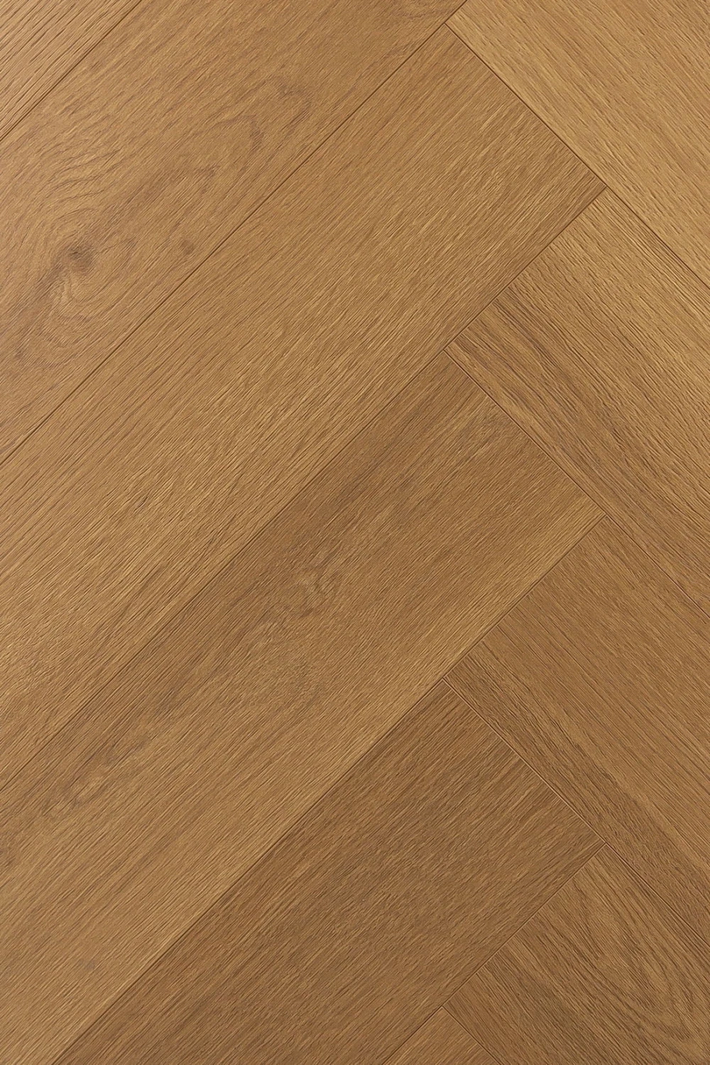 Дуб Хармоник | Harmonik oak 1F337