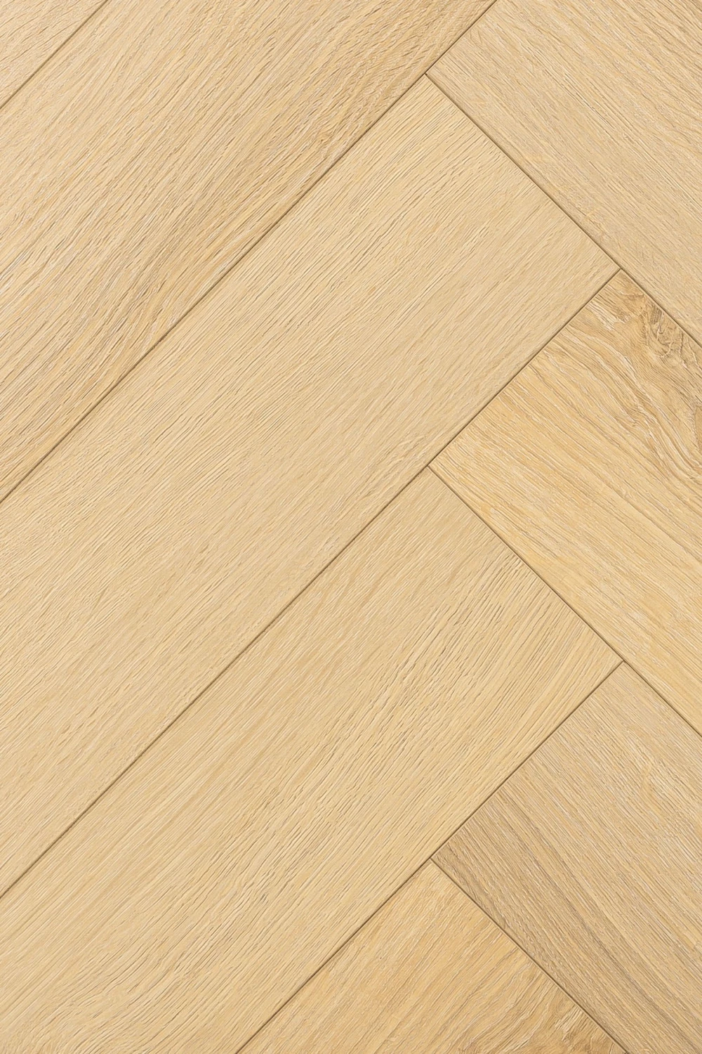 Дуб Ойкос | Oicos oak 1F434