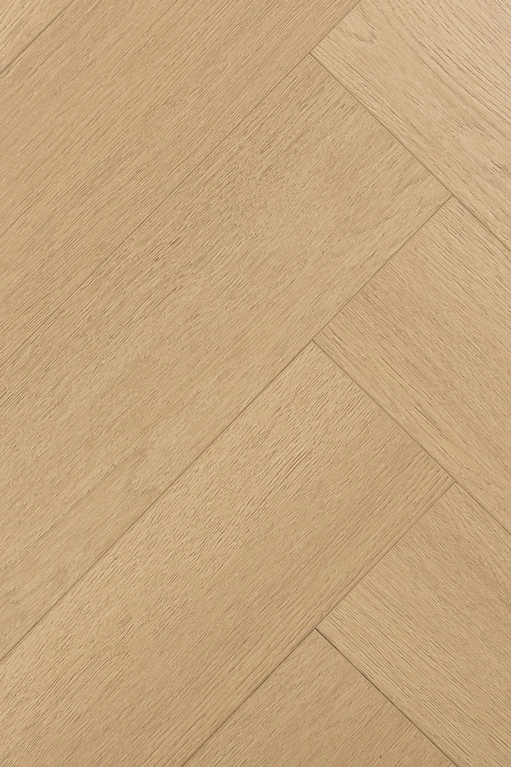 Дуб Одалиска | Odalisque oak 1F442