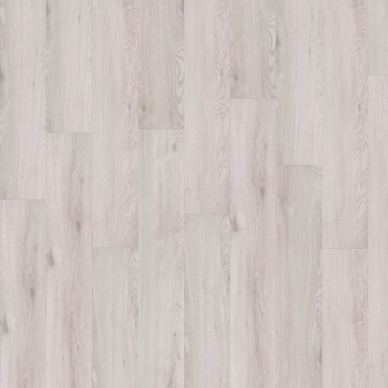 CHAPMAN OAK 05221