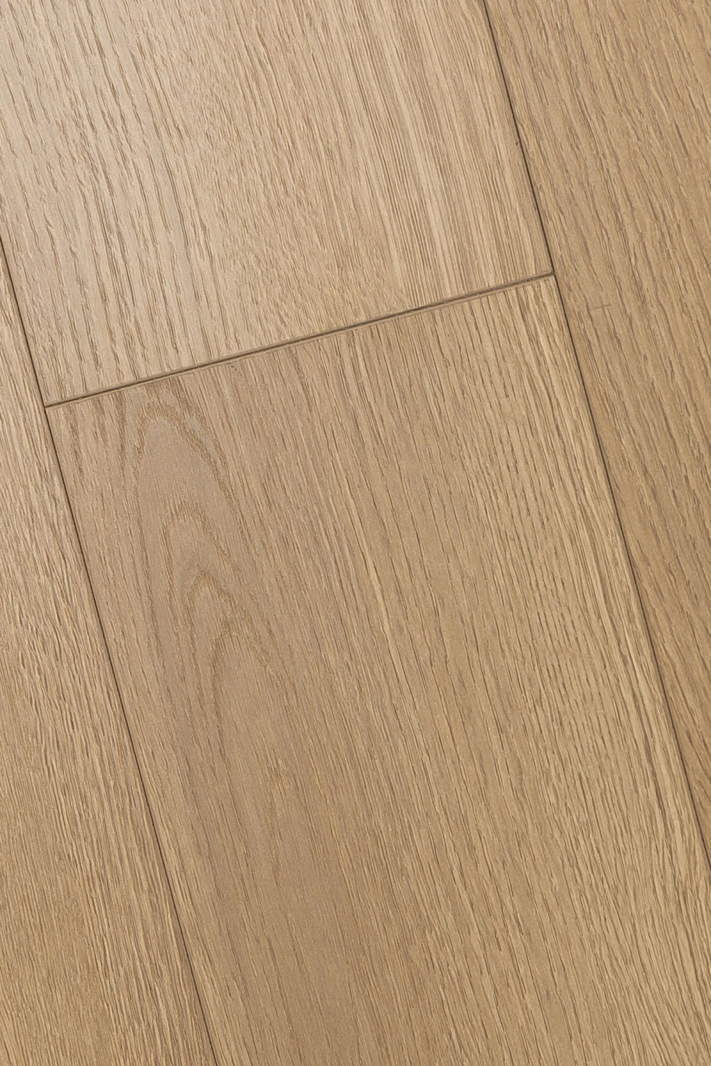 Дуб Жаккард | Jaccard oak 1F418