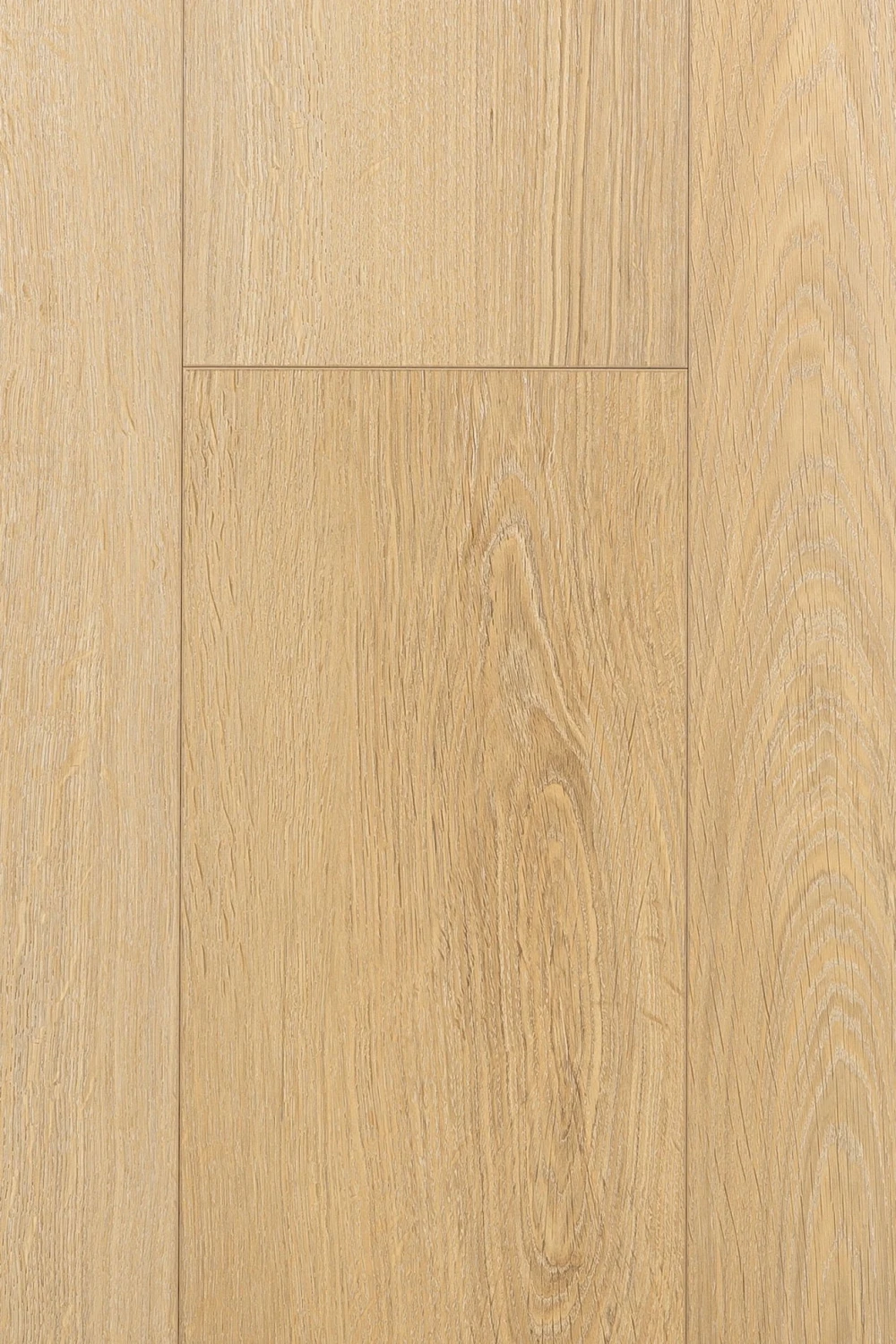 Дуб Ойкос | Oicos oak 1F412