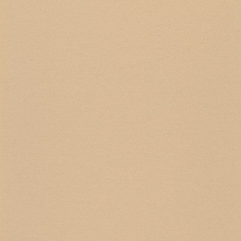 101-043 neutral beige